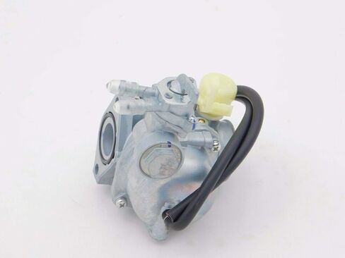 Honda 2013-2020 TRX90 TRX 90 OEM Carburetor Assembly 16100-HP2-A22 in Saudi Arabia