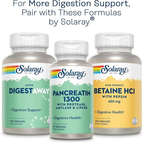 Solaray Mastic Gum Extract 500 Mg 45 Count in Saudi Arabia