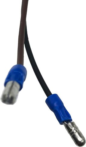 12V ملف الإشعال WPX-101-838 لـ Aqua-Hot Hydro-Hot Webasto Replace WPX101838 Webasto DBW 2010-300 12VDC in Kuwait