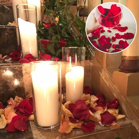 Rose Petals 2000 pcs, Artificial Rose Petals, Rose Petals for Proposal, Flower Petals for Decoration, Flower Petals for Throwing at Wedding, Milk White in Saudi Arabia