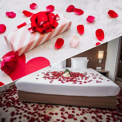 Rose Petals 2000 pcs, Artificial Rose Petals, Rose Petals for Proposal, Flower Petals for Decoration, Flower Petals for Throwing at Wedding, Milk White in Saudi Arabia