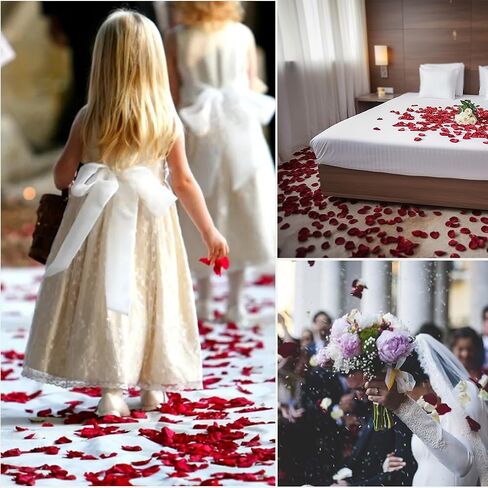 Rose Petals 2000 pcs, Artificial Rose Petals, Rose Petals for Proposal, Flower Petals for Decoration, Flower Petals for Throwing at Wedding, Milk White in Saudi Arabia