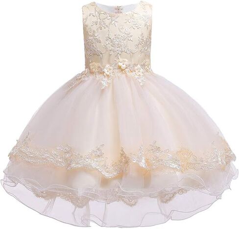 BOFETA Girls Sleeveless Embroidery Princess Lace Dress Bow Knot Flower Tulle Dress 2-10 Years in Saudi Arabia