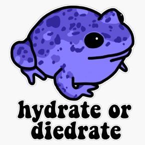Hydrate or Diedrate Frog Bumper Sticker Vinyl Decal 5 inches in Saudi Arabia