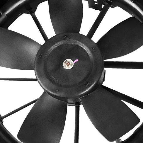 سلالة Auto FO3115184 OE مجموعة مروحة التبريد المبرد OE متوافقة مع Ford Expedition F150 Lincoln Navigator 3.5L 5.4L 10-17 in Kuwait