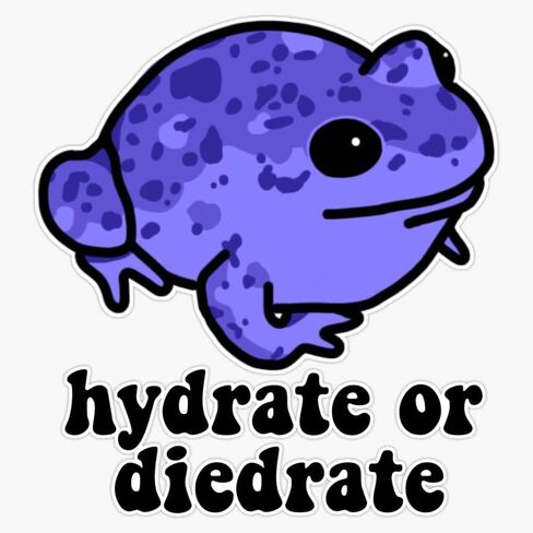 Hydrate or Diedrate Frog Bumper Sticker Vinyl Decal 5 inches in Saudi Arabia