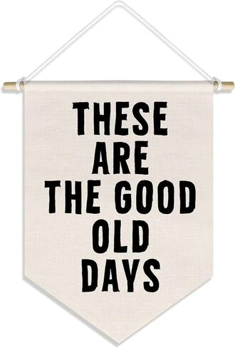 How Lucky Are We Banner Pennant Wall Art Decor Hanging for Kids Boys Room Nursery Playroom Decor, Cute Play Room Decorations, 15x11in in Kuwait