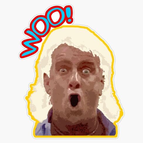 NEDBTS- WOO RIC FLAIR - مصارعة أسطورية اقتباس من المدرسة القديمة مستوحاة من التصميم المصدص المصد فينيل شارات 5 بوصات in Saudi Arabia