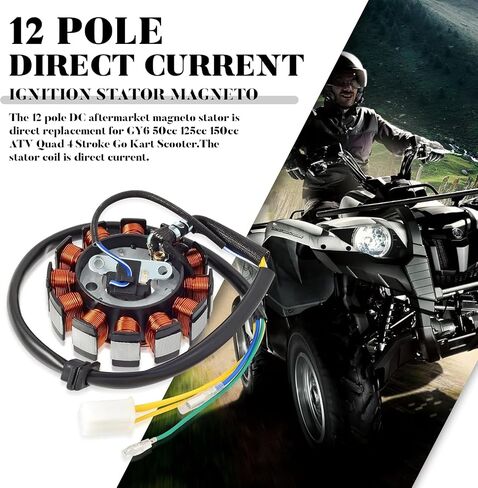 GY6 Stator Ignition Stator Magneto Coil 12 Pole Direct Current 5 Powerports Stators Fit for Gy6 50cc 125cc 150cc 4 Stroke Moped Scooter ATV Quad Go Scooter Performis in Saudi Arabia