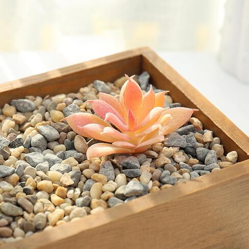 Woohome 6 PCS Faux Fake Succulents Artificial Cactus Decor Artificial Succulent Plants Faux Cactus Plant Artificial Cactus Succulent for Home Decor Indoor Wall Garden DIY in Saudi Arabia