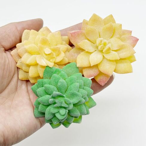 Woohome 6 PCS Faux Fake Succulents Artificial Cactus Decor Artificial Succulent Plants Faux Cactus Plant Artificial Cactus Succulent for Home Decor Indoor Wall Garden DIY in Saudi Arabia