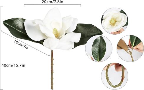 White Silk Magnolia Flowers with Olive Branches for Vases Real Touch White Flower Combo Artificial Olive Branches 30" Long Stem Artificial Flowers for Tall Vase Home Decor Indoor (White) in Kuwait