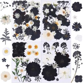 190Pcs Dried Pressed Flowers for Crafts,Xinxinran Dry Flower Kit for Resin Molds,Epoxy Resin Accessories,Bookmark,Nails, Jewelry Molds,Candle Making Supplies,Soap,Frame(Bright Color) in Kuwait