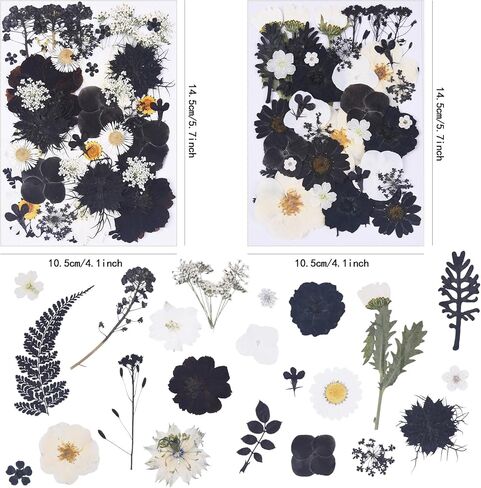 190Pcs Dried Pressed Flowers for Crafts,Xinxinran Dry Flower Kit for Resin Molds,Epoxy Resin Accessories,Bookmark,Nails, Jewelry Molds,Candle Making Supplies,Soap,Frame(Bright Color) in Kuwait