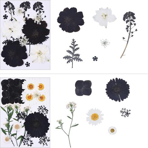 190Pcs Dried Pressed Flowers for Crafts,Xinxinran Dry Flower Kit for Resin Molds,Epoxy Resin Accessories,Bookmark,Nails, Jewelry Molds,Candle Making Supplies,Soap,Frame(Bright Color) in Kuwait