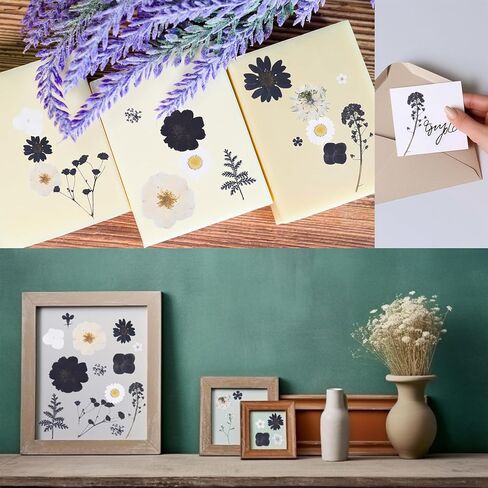 190Pcs Dried Pressed Flowers for Crafts,Xinxinran Dry Flower Kit for Resin Molds,Epoxy Resin Accessories,Bookmark,Nails, Jewelry Molds,Candle Making Supplies,Soap,Frame(Bright Color) in Kuwait