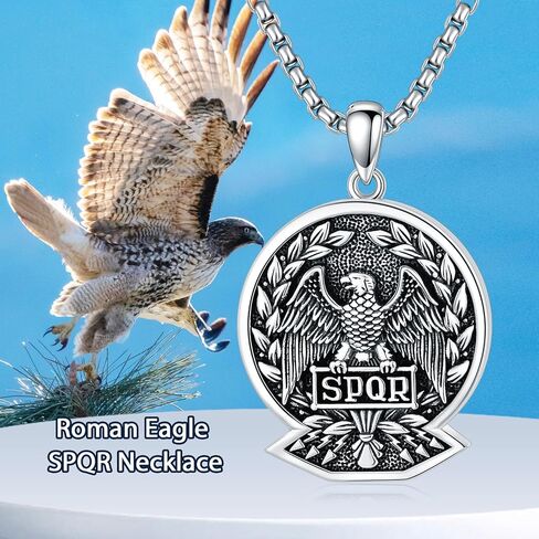 Tiger Necklace for Men 925 Sterling Silver Tiger Eye Pendant Jewelry for Birthday Christmas in Kuwait