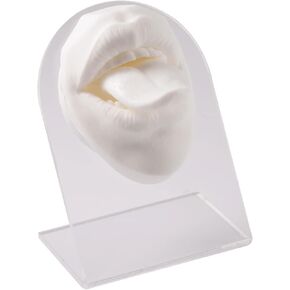 نموذج فم مرن من السيليكون الناعم يعرض نموذج لسان سيليكون ثلاثي الأبعاد لمحاكاة ثقب المجوهرات أداة تعليمية (لون أسود) in Kuwait