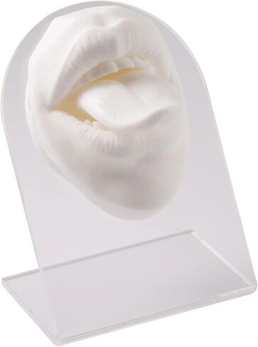 Soft Silicone Flexible Mouth Model Displays Human 3D Silicone Tongue Model Simulation for Piercing Jewelry Display Teaching Tool (Black Color) in Kuwait
