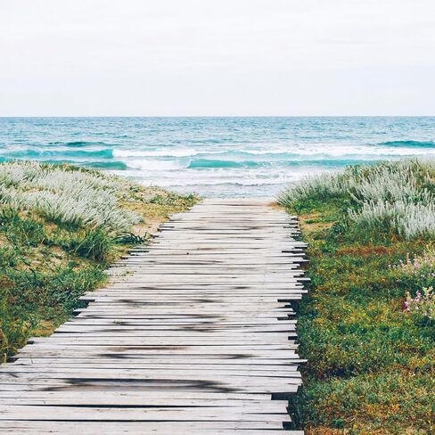 Aera Smart Home Fragrance Diffuser and Good Riddance Pet Odor Scent Refill Bundle - Alexa Compatible, Hypoallergenic, Family and Pet Safe, App Controlled in Kuwait