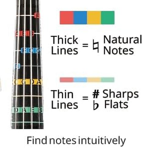 Non-Adhesive Violin Finger Guide for Adult/Kids Beginner, Static Cling Sheet, Fingerboard Stickers, Notes practice tape (Type B_Note Names, 4/4 full size) in Saudi Arabia