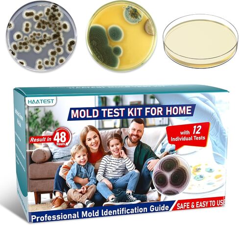 Mold Test Kit for Home: 6 Simple Mold Detector with Detailed Identification Guide for Home Surfaces & Indoor Air Quality & HVAC Testing Results in 48 Hours - at Home Black Mold Detection Kit in Saudi Arabia