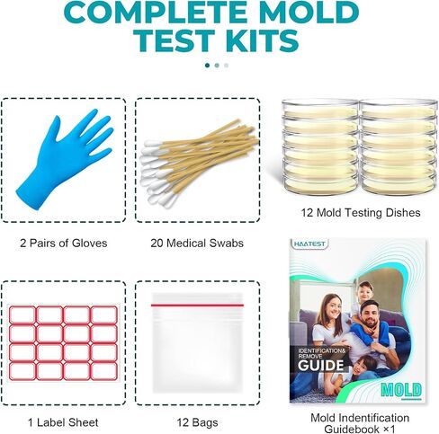 Mold Test Kit for Home: 6 Simple Mold Detector with Detailed Identification Guide for Home Surfaces & Indoor Air Quality & HVAC Testing Results in 48 Hours - at Home Black Mold Detection Kit in Saudi Arabia