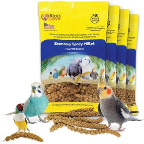 Birds LOVE Economy Spray Millet for Birds, 7 oz, GMO-Free Natural Millet Spray Treat, Stem-Reduced Edible Tops, Grown in USA, for Parakeets, Cockatiels, Lovebirds, Finches, Canaries & Small Parrots in Saudi Arabia