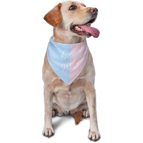 He Or She What Will It Be? Gender Reveal/Baby Announcement Dog Bandana,Pet Neckerchief for Pets Daily Wear Photo Prop Party Supplies (Blue)