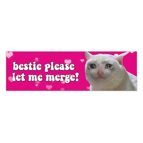 Bestie Please Let Me Merge Cat Y2K Pink Aesthetic Funny Gen Z Meme Bumper Magnet Sticker Car Vehicle Vinyl Decal for New Drivers and Adults