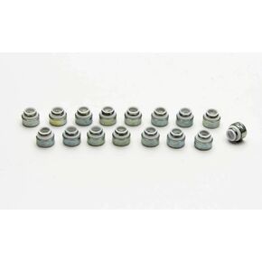 Manley 24037-16 Teflon Fuel Injection Valve Seal