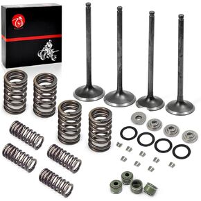 Intake Exhaust Valve Seal Spring Kit for HONDA TRX400EX TRX400X XR400R 400EX 400X 2x4 1999-2014