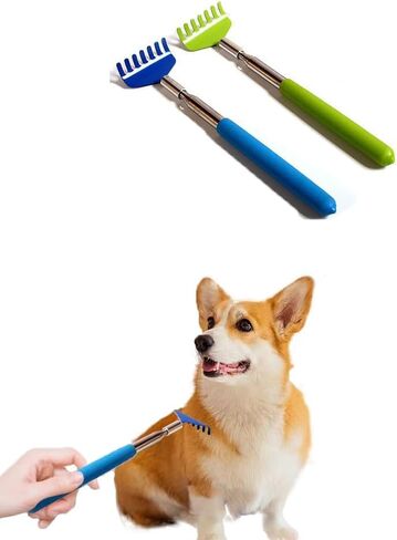 2 Pcs Cat Telescopic Teaser Wand Retractable Scratch Comb Tickle Scratcher Handy Interactive Play Toy for Cats Dogs (Random Color) in Saudi Arabia