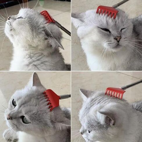 2 Pcs Cat Telescopic Teaser Wand Retractable Scratch Comb Tickle Scratcher Handy Interactive Play Toy for Cats Dogs (Random Color) in Saudi Arabia