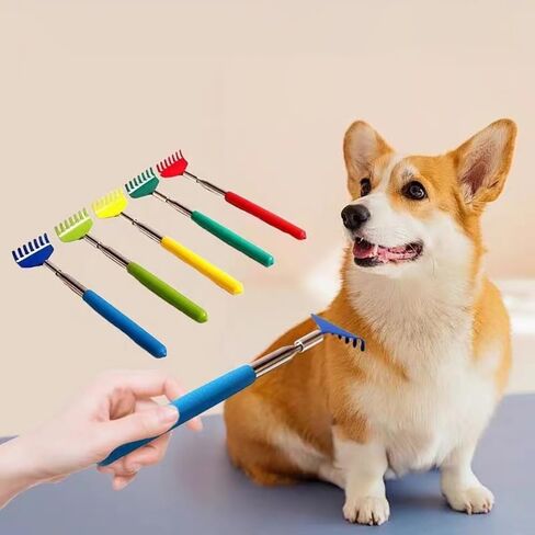 2 Pcs Cat Telescopic Teaser Wand Retractable Scratch Comb Tickle Scratcher Handy Interactive Play Toy for Cats Dogs (Random Color) in Saudi Arabia