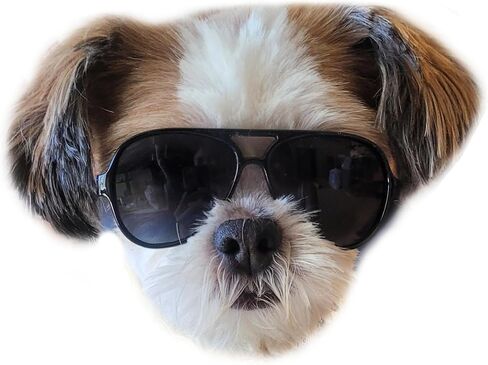 G029 Small Dog Breed up to 15lbs Cat Pet Aviator Sunglasses Glasses (Black) in Saudi Arabia