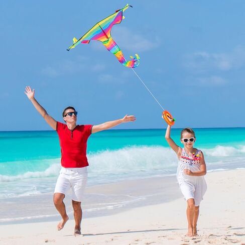 6 Pcs 8 Inches Kite String Reel Winder Kite String with Reel Kite Line Winder with 984 Feet Line and Safety Lock Winding Reel Grip Wheel Handle Kite String Spool Kite Flying Accessories in Saudi Arabia