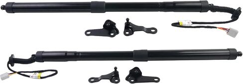 electric bautficts Struts Shock Power Trunk Lift Replace for Lexus NX200T NX300H 2015-2017 الجزء# 6891079016 ، 6892079016 in Kuwait