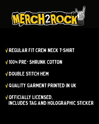 Alice in Chains Men's Facelift T-Shirt Black | Officially Licensed Merchandise in Kuwait