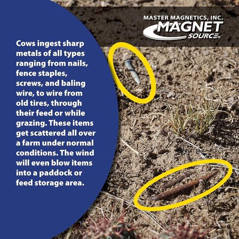 Master Magnetics COW-CP6X4BX New Ferrite Cow Magnet, 0.625" Diameter, 3" Length, Black (Pack of 4) in Saudi Arabia