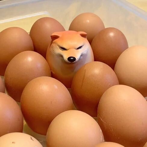 Shibako Dog Squishy Egg, Shibako Dog Egg,Vent Creative Gift Ornaments(4pc) in Kuwait