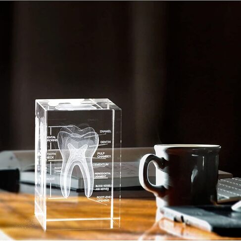 3D Human Heart Crystal Model, Laser Etched Anatomical Model for Home and Office Decoration, Cardiology Gifts in Kuwait