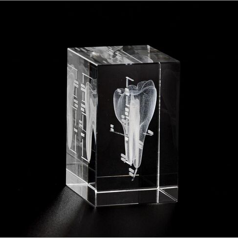 3D Human Heart Crystal Model, Laser Etched Anatomical Model for Home and Office Decoration, Cardiology Gifts in Kuwait