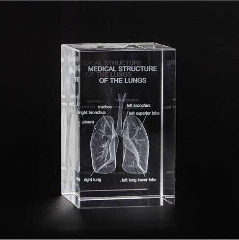 3D Human Heart Crystal Model, Laser Etched Anatomical Model for Home and Office Decoration, Cardiology Gifts in Saudi Arabia