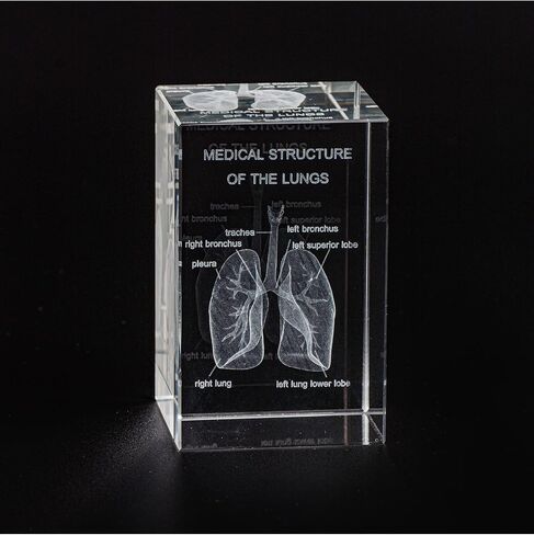 3D Human Heart Crystal Model, Laser Etched Anatomical Model for Home and Office Decoration, Cardiology Gifts in Saudi Arabia