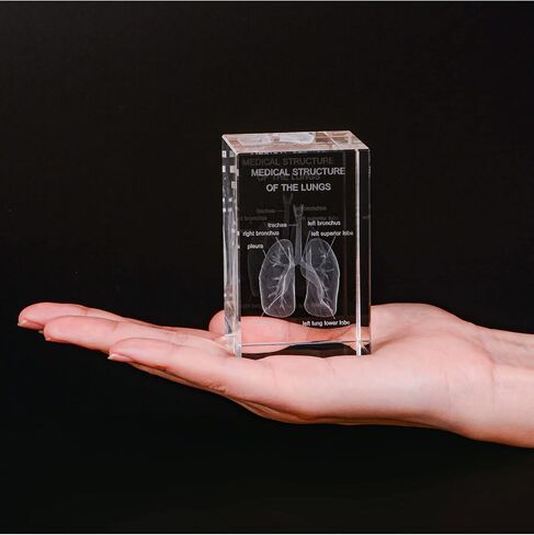 3D Human Heart Crystal Model, Laser Etched Anatomical Model for Home and Office Decoration, Cardiology Gifts in Saudi Arabia
