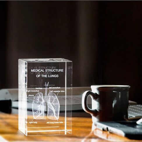 3D Human Heart Crystal Model, Laser Etched Anatomical Model for Home and Office Decoration, Cardiology Gifts in Saudi Arabia