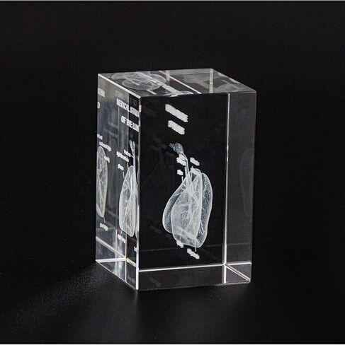 3D Human Heart Crystal Model, Laser Etched Anatomical Model for Home and Office Decoration, Cardiology Gifts in Saudi Arabia