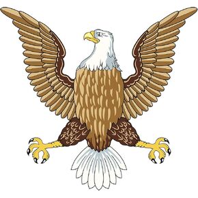 EW Designs Magnet American Bald Eagle Light Dark Brown Yellow Black White Magnetic Vinyl Magnet Bumper Sticker Two in One Pack (12 Inches Wide) in Saudi Arabia