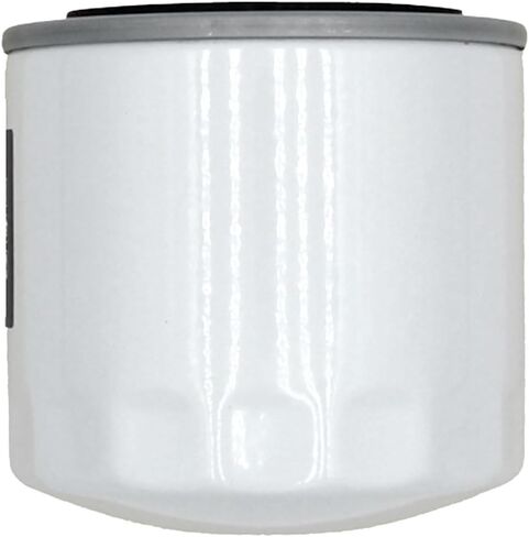Raparts Spin-on oil Filter Fits 1320 1520 1530 1620 1630 1710 1715 1720 1818 2310 2810 in Saudi Arabia